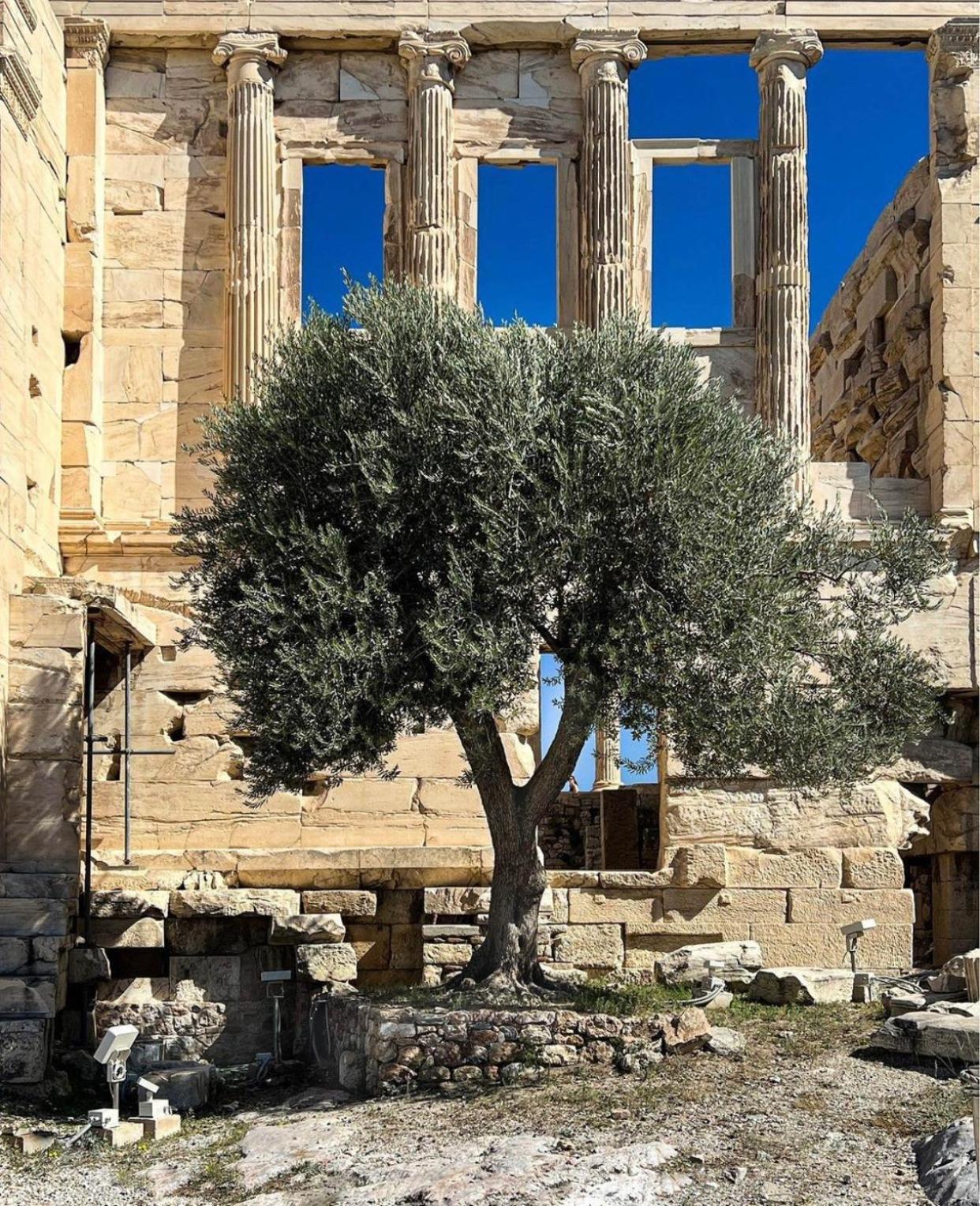 Appartement Tout Confort Athens Luaran gambar